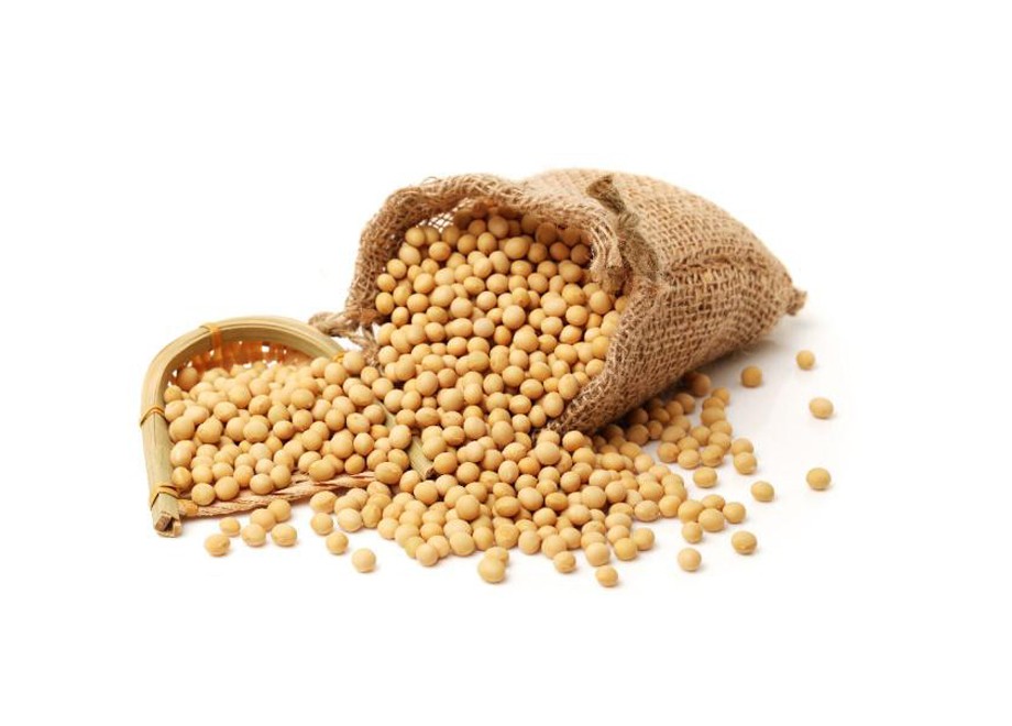 Dals & Pulses